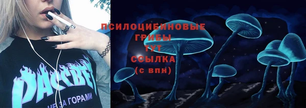гашик Нягань