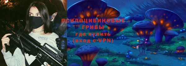гашик Нягань