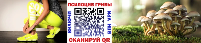 Купить закладки  Каневская  Галлюциногенные грибы мухоморы 